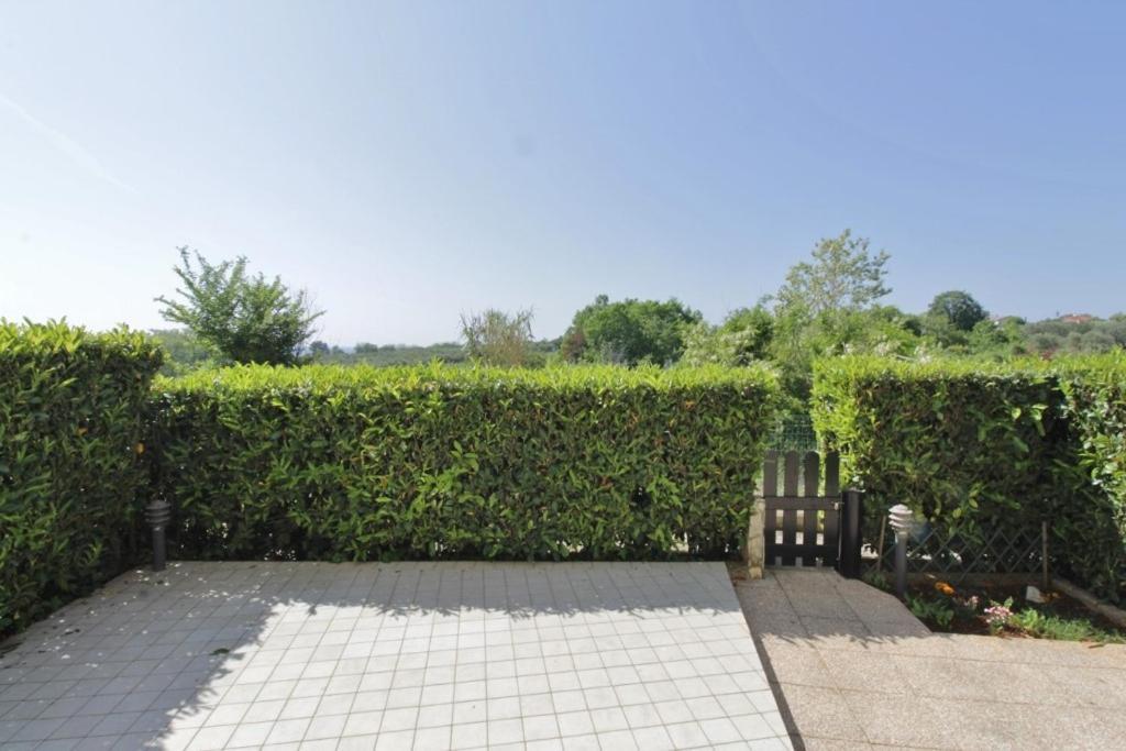 Apartament Biljana Savudrija Zewnętrze zdjęcie